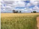 Section 29 Hundred of Mortlock, Edillilie SA 5630