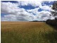 Section 29 Hundred of Mortlock, Edillilie SA 5630