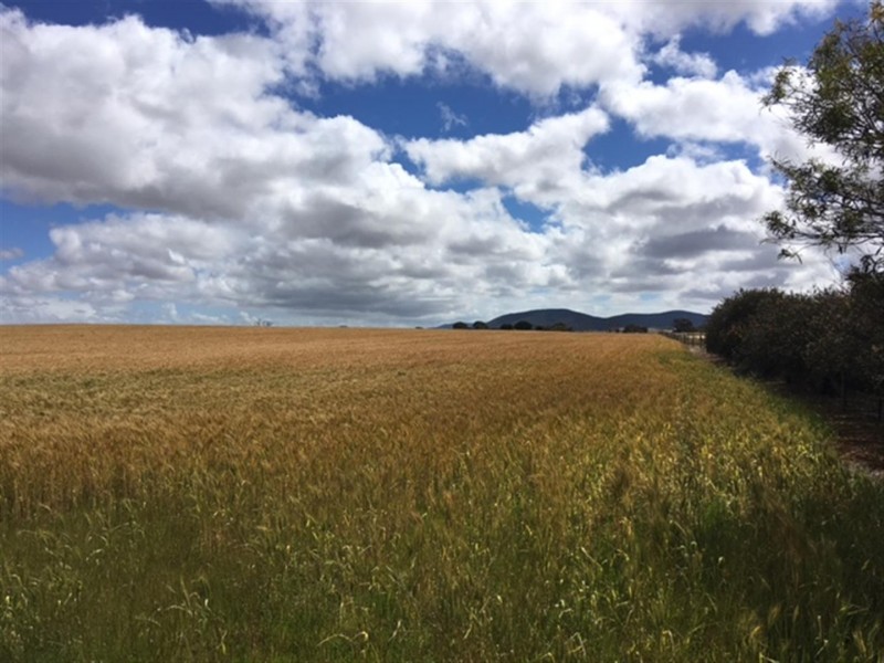 Section 29 Hundred of Mortlock, Edillilie SA 5630