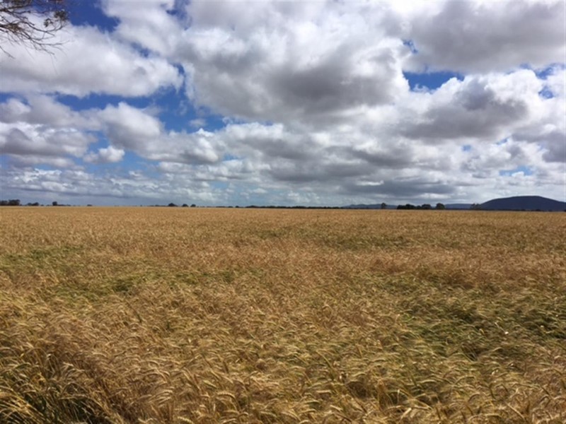 Section 29 Hundred of Mortlock, Edillilie SA 5630