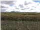 Section 29 Hundred of Mortlock, Edillilie SA 5630