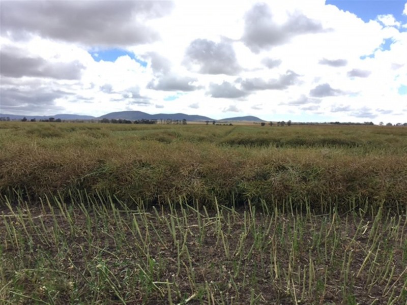 Section 29 Hundred of Mortlock, Edillilie SA 5630
