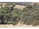 Lot 139 Redgum Road, Coulta SA 5607
