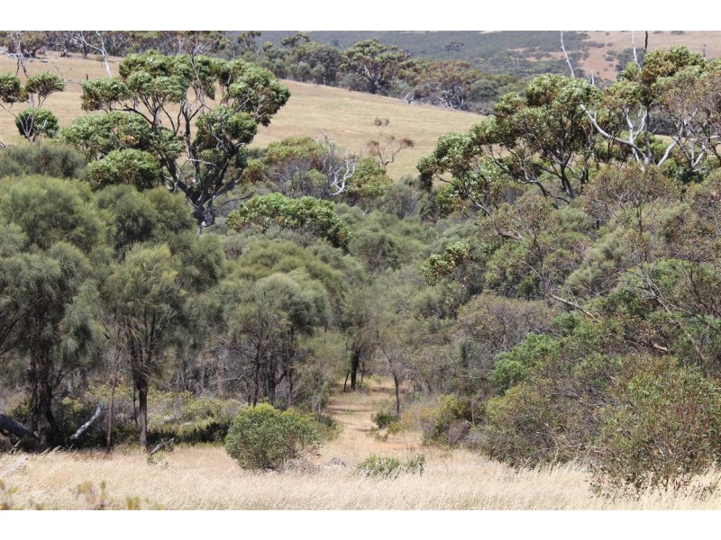 Lot 139 Redgum Road, Coulta SA 5607