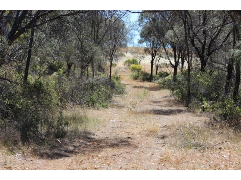 Lot 139 Redgum Road, Coulta SA 5607