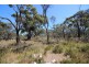 Lot 139 Redgum Road, Coulta SA 5607