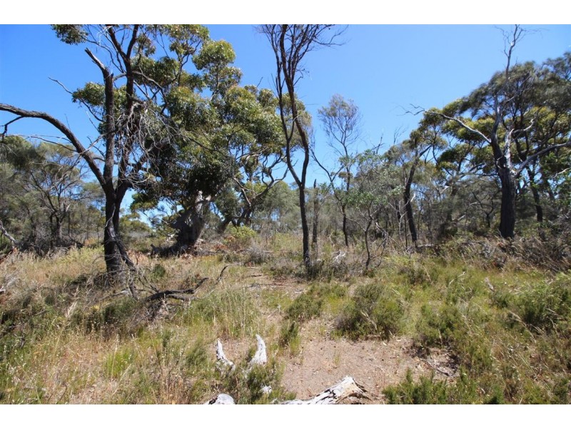 Lot 139 Redgum Road, Coulta SA 5607