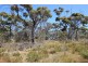 Lot 139 Redgum Road, Coulta SA 5607