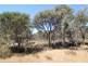 Lot 139 Redgum Road, Coulta SA 5607