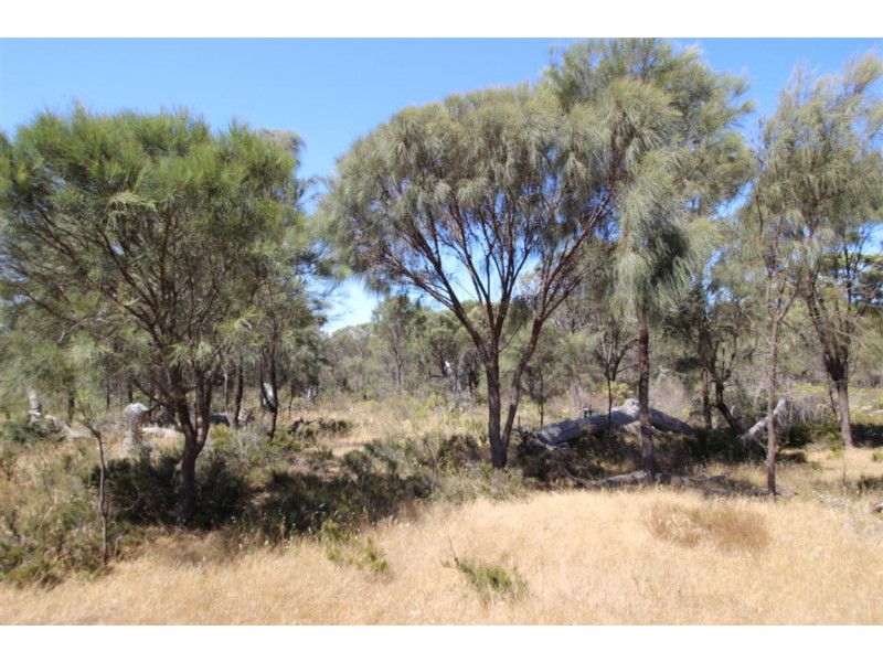 Lot 139 Redgum Road, Coulta SA 5607