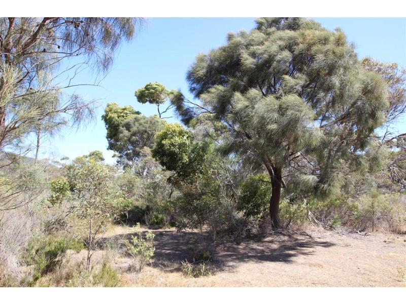 Lot 139 Redgum Road, Coulta SA 5607