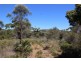 Lot 139 Redgum Road, Coulta SA 5607