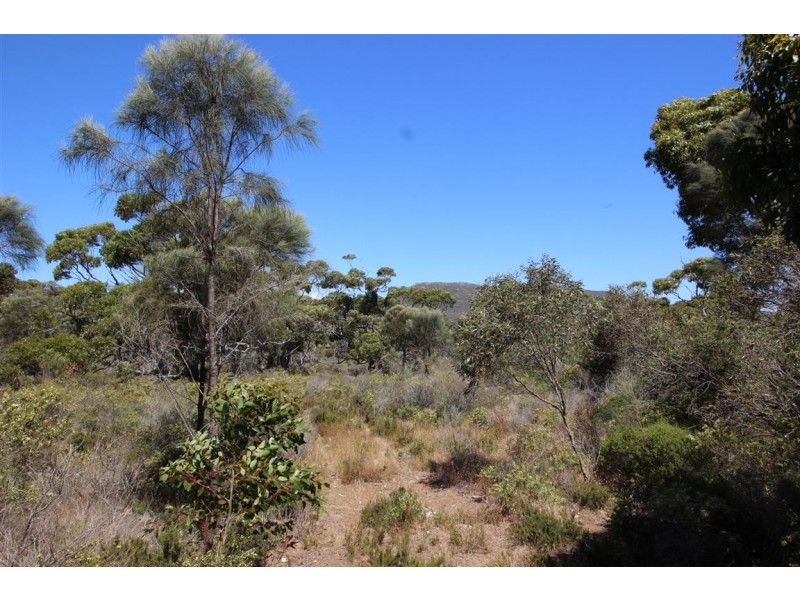 Lot 139 Redgum Road, Coulta SA 5607