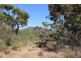 Lot 139 Redgum Road, Coulta SA 5607