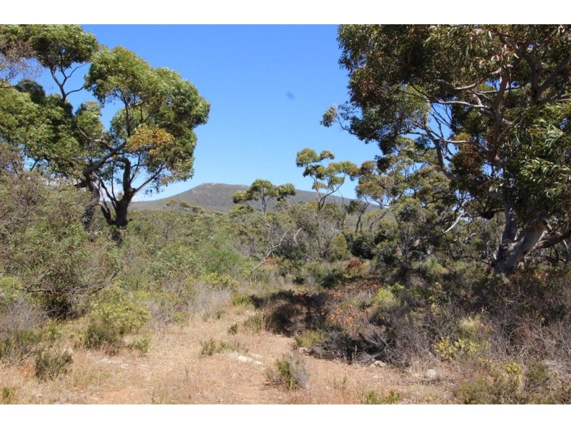 Lot 139 Redgum Road, Coulta SA 5607