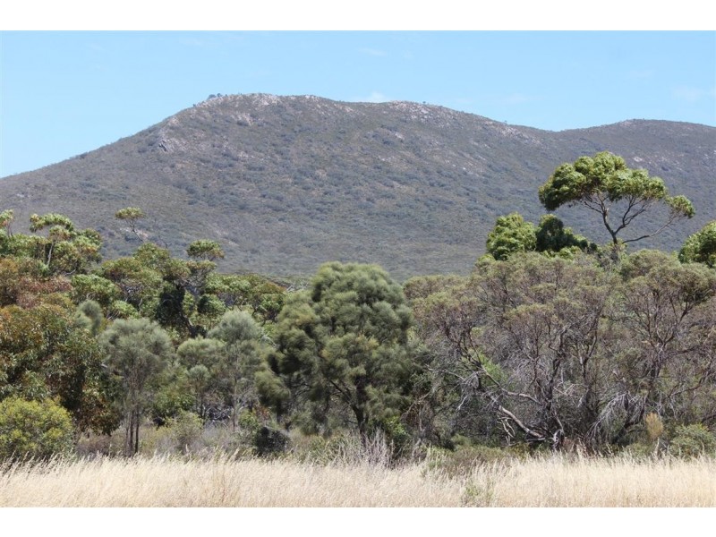 Lot 139 Redgum Road, Coulta SA 5607