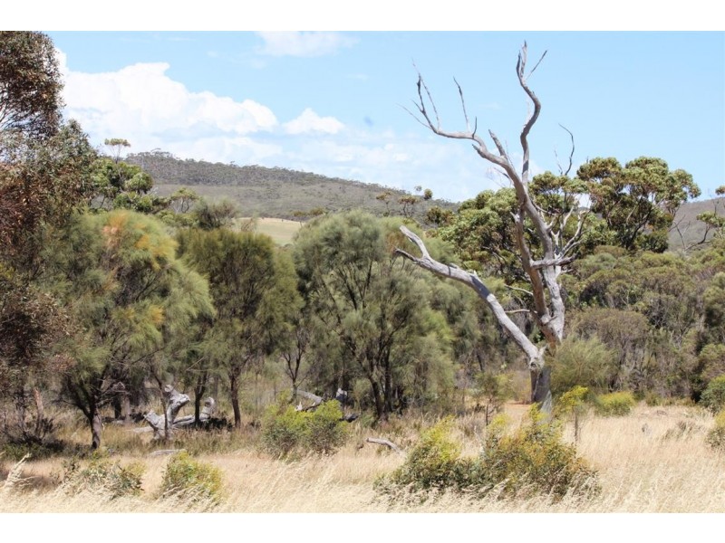 Lot 139 Redgum Road, Coulta SA 5607