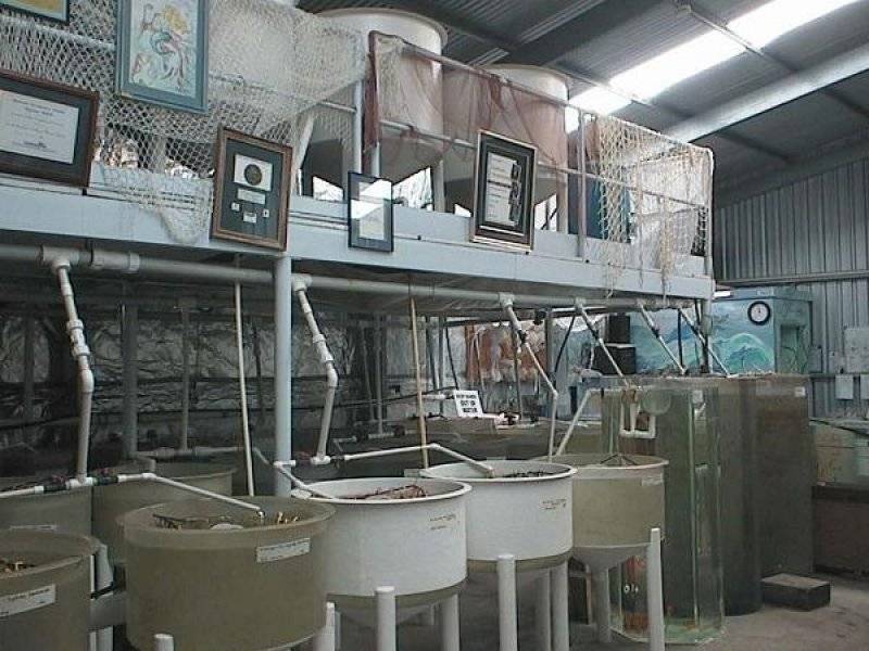 5 Mallee Crescent, Port Lincoln SA 5606