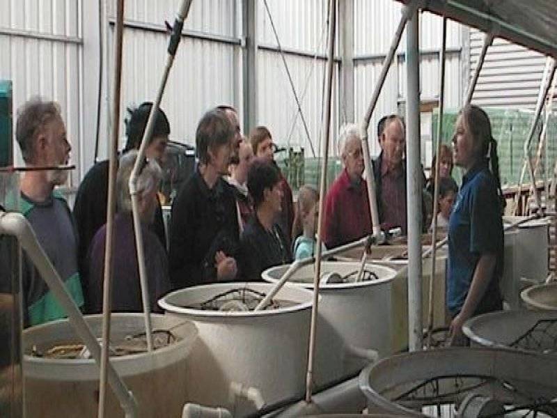 5 Mallee Crescent, Port Lincoln SA 5606