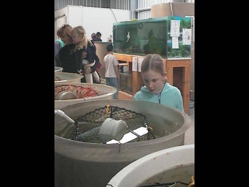 5 Mallee Crescent, Port Lincoln SA 5606