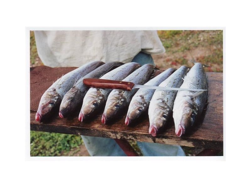 8 Habib Road, Port Neill SA 5604