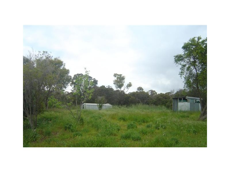 13 Winter Street, Port Lincoln SA 5606