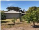 341 Poona Lane, Coulta SA 5607