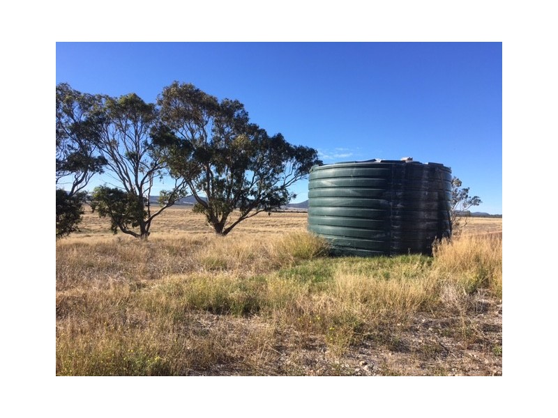 341 Poona Lane, Coulta SA 5607