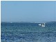 Sect 478 Dolphin Drive, Mount Dutton Bay SA 5607