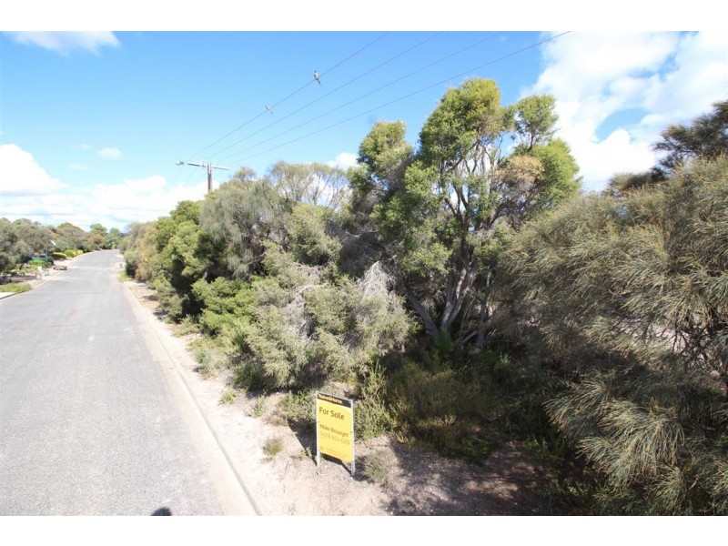 16 Douglas Street, Coffin Bay SA 5607