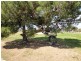120 Lawrence Road, Kapinnie SA 5632
