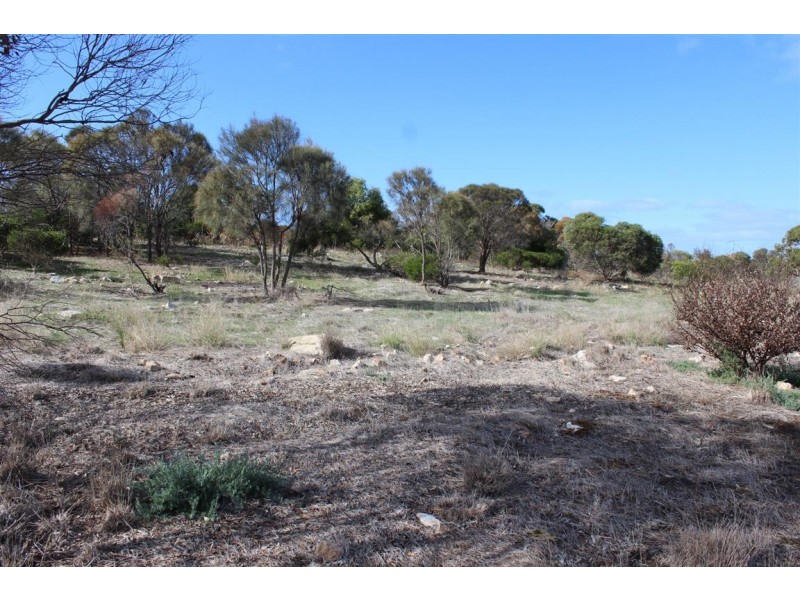 Lot 101 Broccabruna Drive, Mount Dutton Bay SA 5607