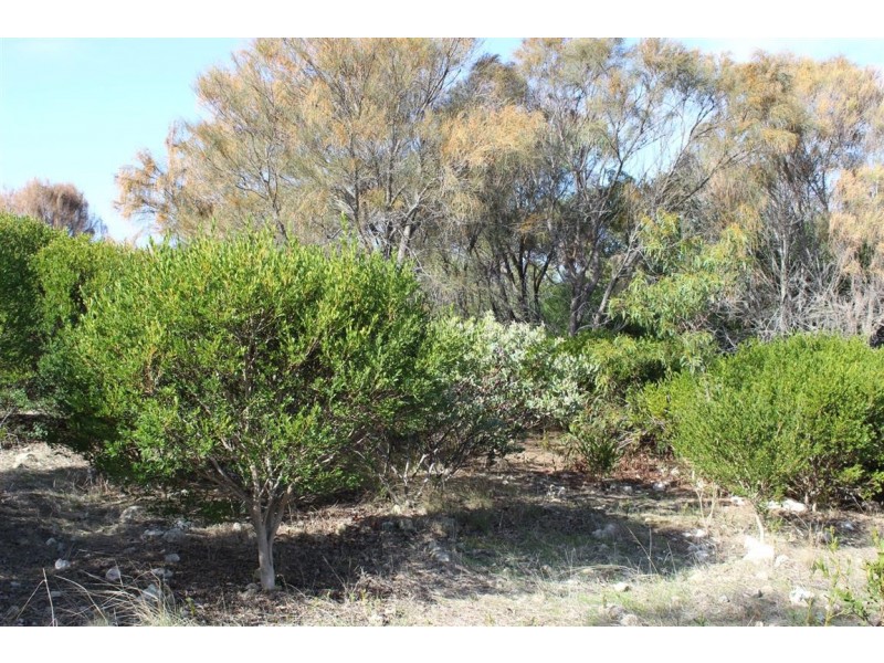 Lot 101 Broccabruna Drive, Mount Dutton Bay SA 5607