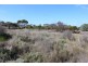 Lot 101 Broccabruna Drive, Mount Dutton Bay SA 5607