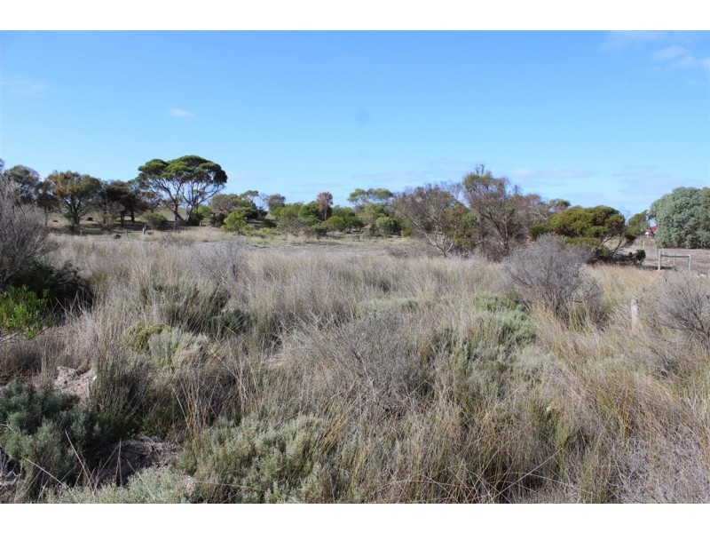 Lot 101 Broccabruna Drive, Mount Dutton Bay SA 5607