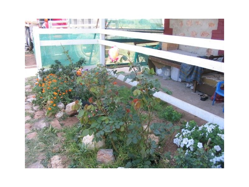 Lot 62 South Terrace and Seventh Street, Lipson SA 5607