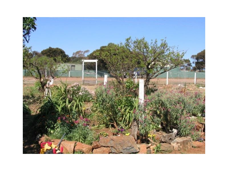 Lot 62 South Terrace and Seventh Street, Lipson SA 5607