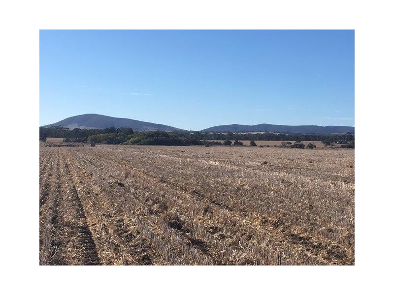 Sections 98 and 99 Hundred of Warrow, Coulta SA 5607