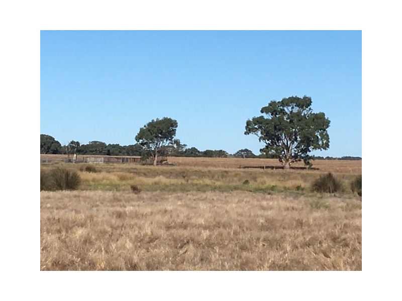 Sections 98 and 99 Hundred of Warrow, Coulta SA 5607