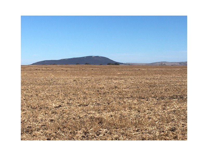 Sections 98 and 99 Hundred of Warrow, Coulta SA 5607