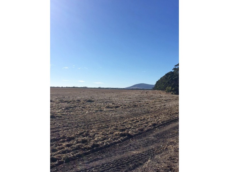 Sections 98 and 99 Hundred of Warrow, Coulta SA 5607