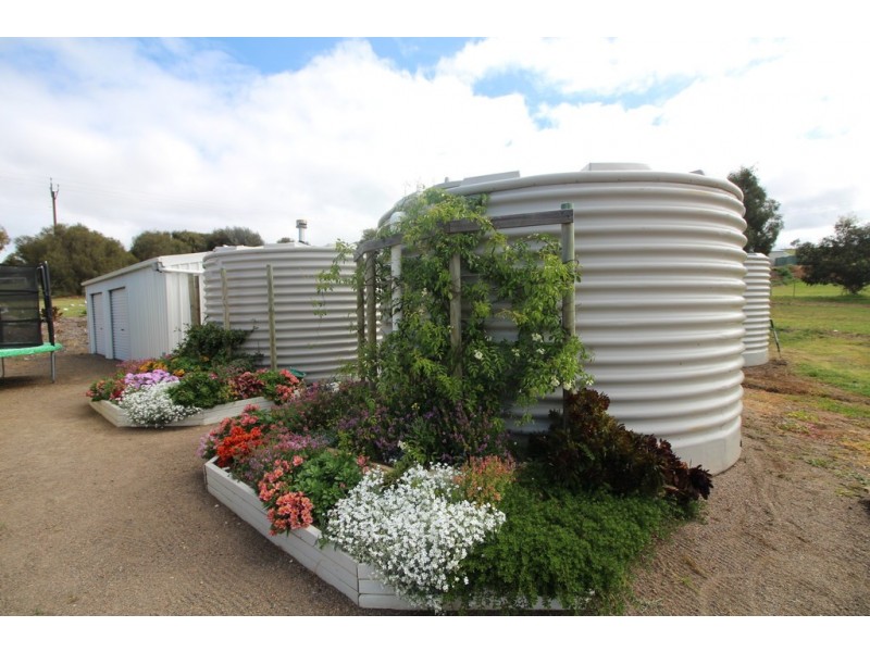 Lot 175 Cockatoo Road, Boston SA 5607