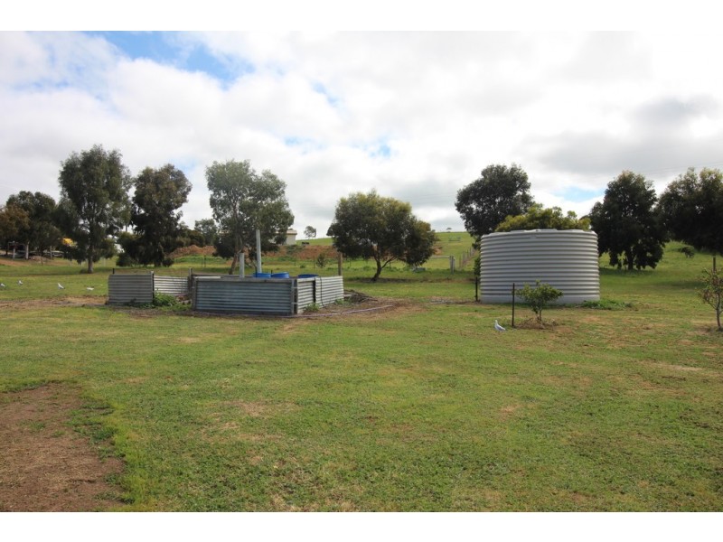Lot 175 Cockatoo Road, Boston SA 5607