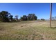 52 Sabine Street, Coulta SA 5607