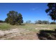 52 Sabine Street, Coulta SA 5607