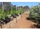 Lot 1, 351 Pinta Track, Mount Dutton Bay SA 5607