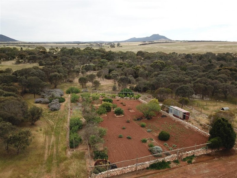 Lot 1, 351 Pinta Track, Mount Dutton Bay SA 5607