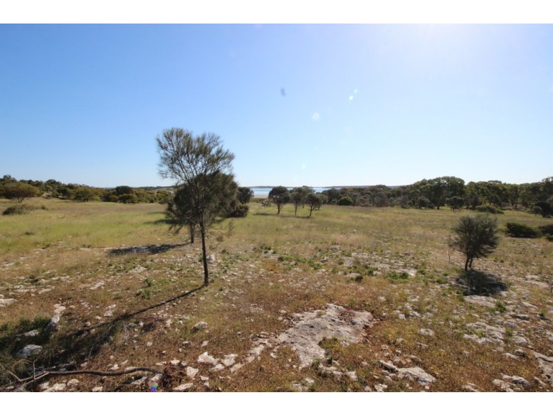 Lot 1, 351 Pinta Track, Mount Dutton Bay SA 5607