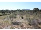 Lot 1, 351 Pinta Track, Mount Dutton Bay SA 5607