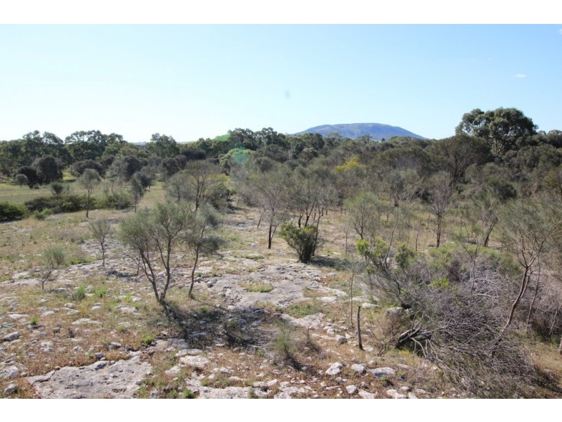 Lot 1, 351 Pinta Track, Mount Dutton Bay SA 5607
